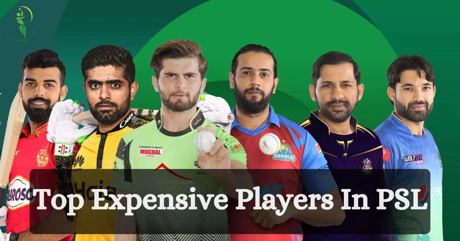Top Expensive Players In PSL 2025 [ Top Paid PSL Players ]