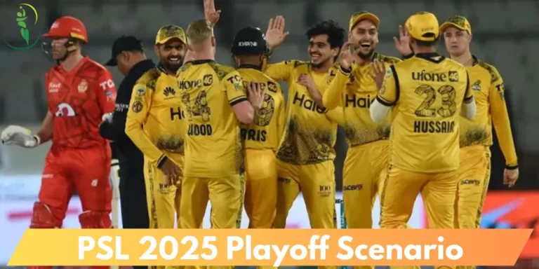 PSL 2025 Playoff Scenario
